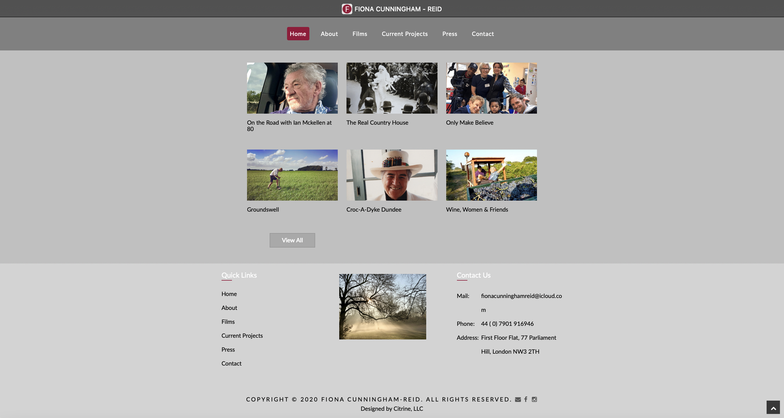Website-Design